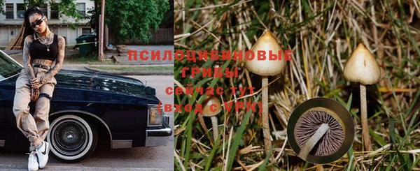 мяу мяу мука Алексеевка