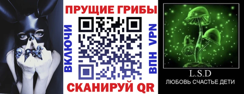 Галлюциногенные грибы прущие грибы  Краснознаменск 